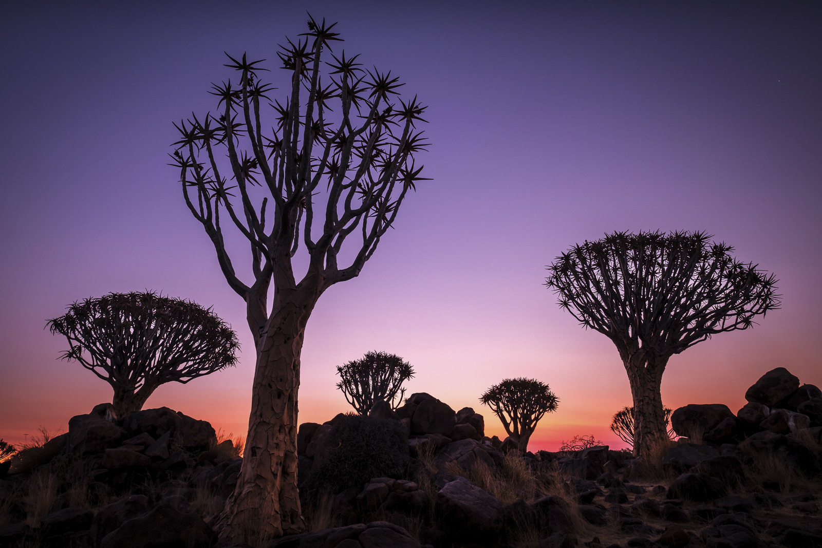 Namibia