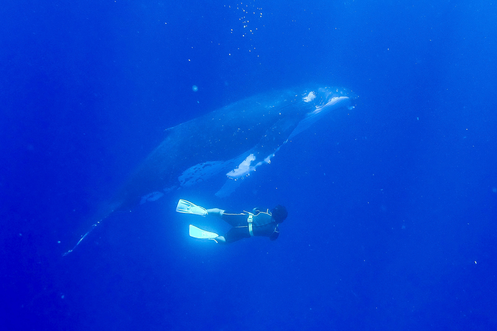 Tonga