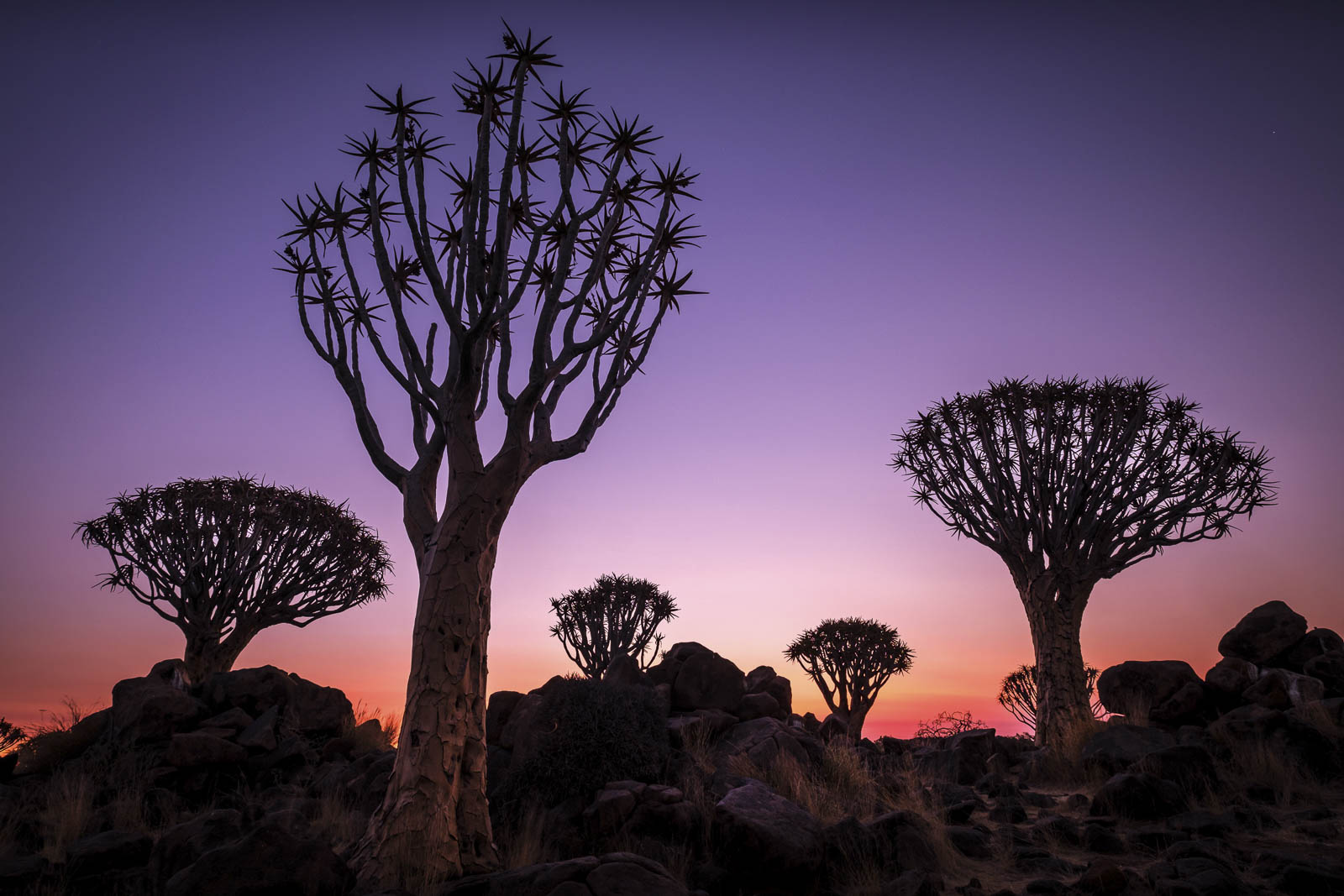 Landscapes of the World